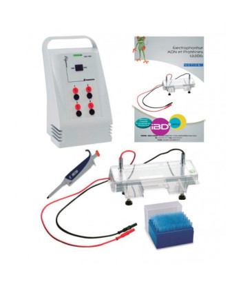 Kit para Electroforesis